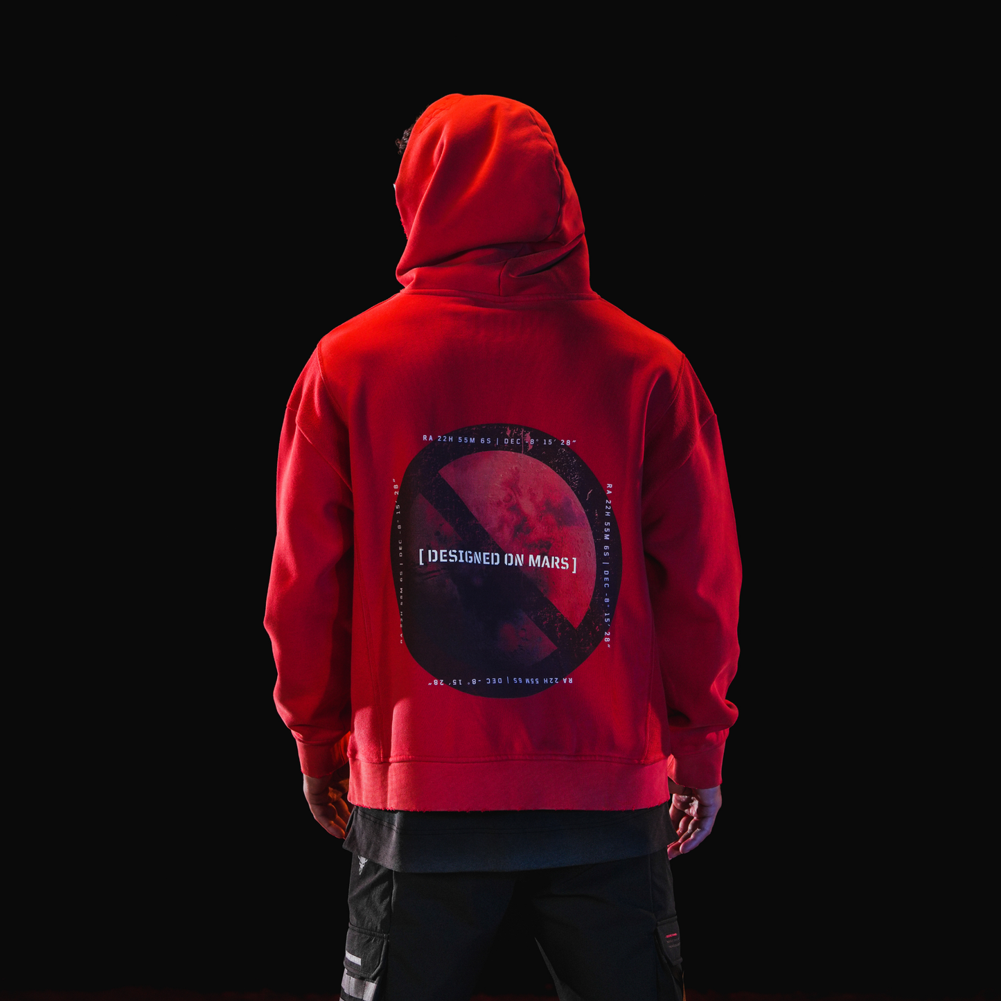 ICON_HOODIE / WASHED RED
